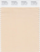 Pantone Smart 12-1005 TCX Color Swatch Card | Novelle Peach