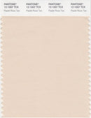 Pantone Smart 12-1007 TCX Color Swatch Card | Pastel Rose Tan