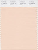 Pantone Smart 12-1008 TCX Color Swatch Card | Linen