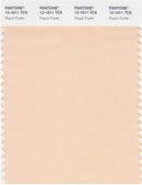 Pantone Smart 12-1011 TCX Color Swatch Card | Peach Puree