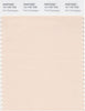 Pantone Smart 12-1107 TCX Color Swatch Card | Pink Champagne