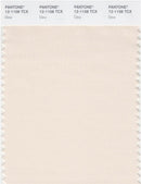 Pantone Smart 12-1108 TCX Color Swatch Card | Dew