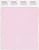 Pantone Smart 12-1310 TCX Color Swatch Card | Blushing Bride