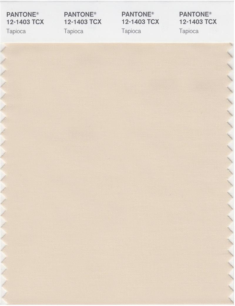 Pantone Smart 12-1403 TCX Color Swatch Card | Tapioca