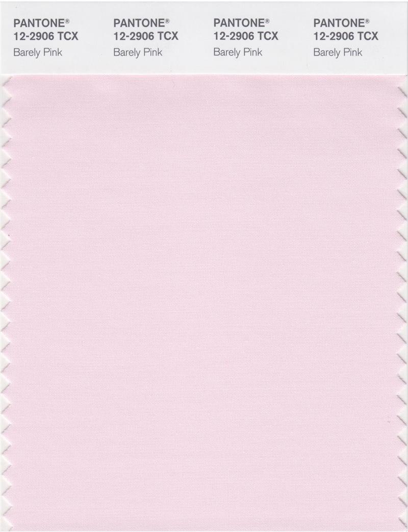 Pantone Smart 12-2906 TCX Color Swatch Card | Barely Pink