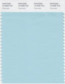 Pantone Smart 12-4608 TCX Color Swatch Card | Clearwater