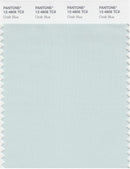 Pantone Smart 12-4812 TCX Color Swatch Card | Chalk Blue