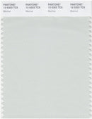 Pantone Smart 12-5203 TCX Color Swatch Card | Murmur