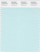 Pantone Smart 12-5209 TCX Color Swatch Card | Soothing Sea