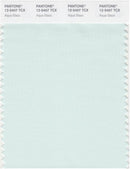 Pantone Smart 12-5407 TCX Color Swatch Card | Aqua Glass