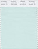 Pantone Smart 12-5408 TCX Color Swatch Card | Moonlight Jade