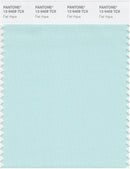 Pantone Smart 12-5409 TCX Color Swatch Card | Fair Aqua