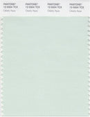 Pantone Smart 12-5504 TCX Color Swatch Card | Clearly Aqua