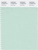 Pantone Smart 12-5506 TCX Color Swatch Card | Dusty Aqua