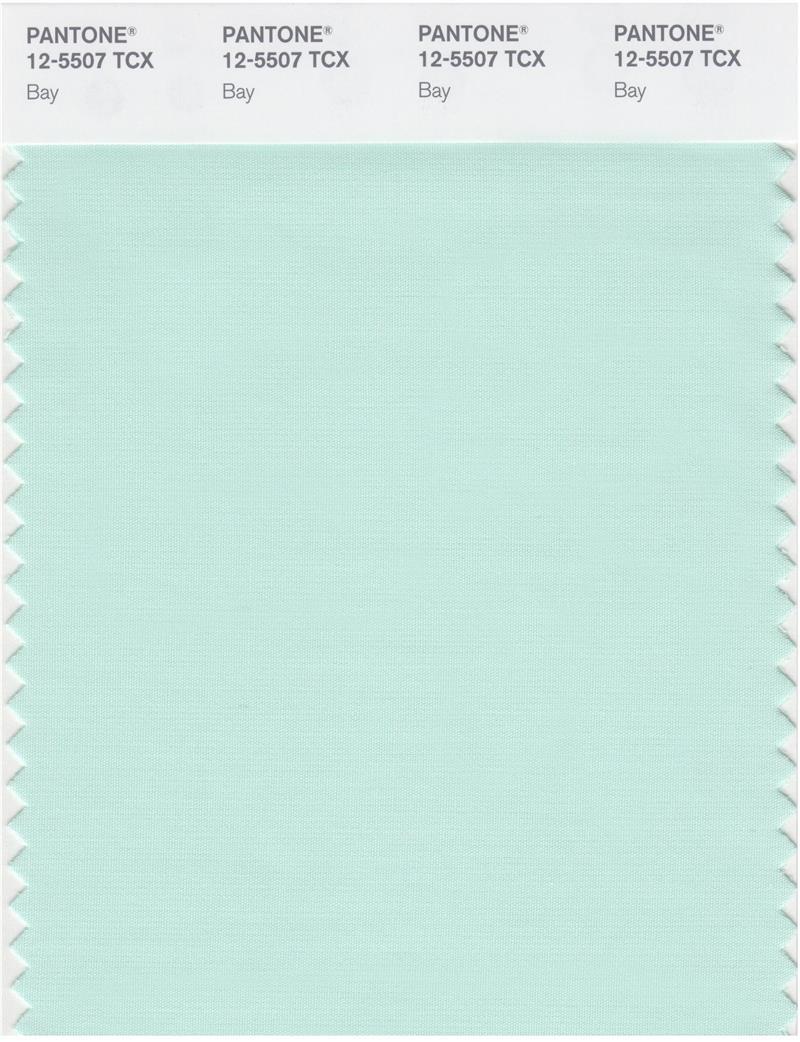 pantone-smart-12-5507-tcx-color-swatch-card-bay-magazine-cafe-store