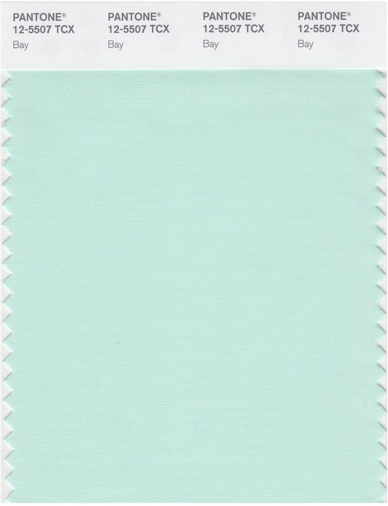 Pantone Smart 12-5507 TCX Color Swatch Card | Bay