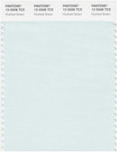 Pantone Smart 12-5508 TCX Color Swatch Card | Hushed Green