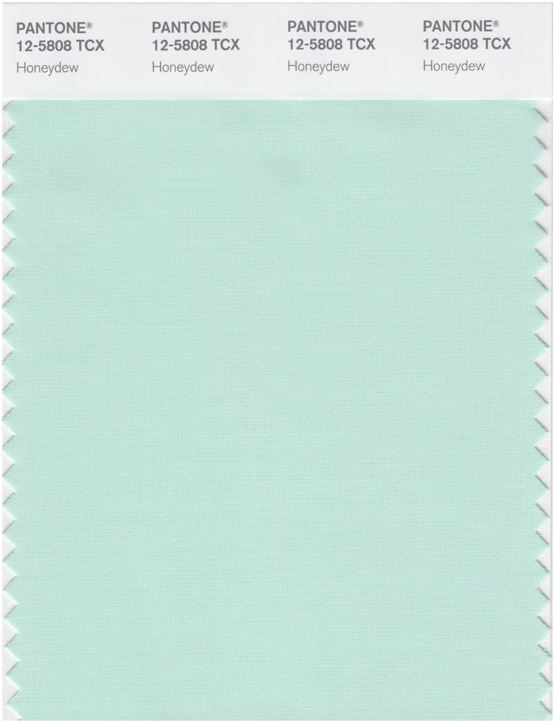 Pantone Smart 12-5808 TCX Color Swatch Card | Honeydew | Magazine