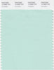 Pantone Smart 12-5808 TCX Color Swatch Card | Honeydew