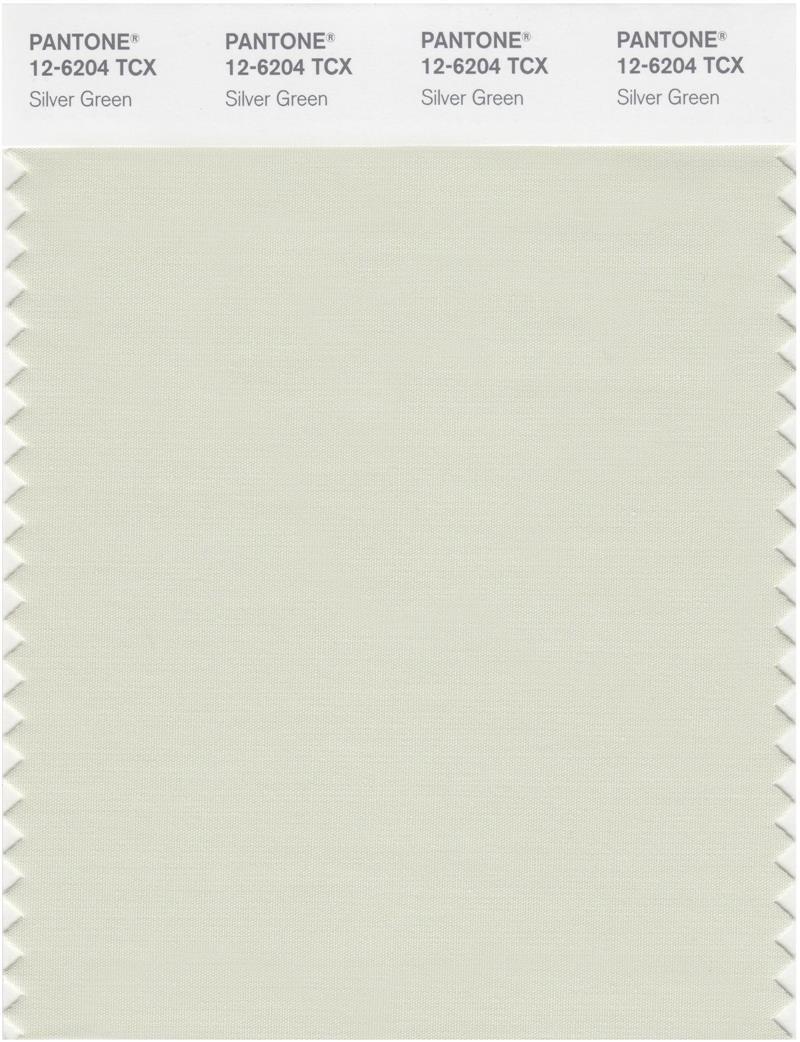 Pantone Smart 12-6204 TCX Color Swatch Card | Silver Green | Magazine ...