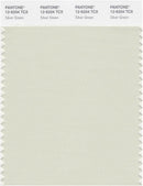 Pantone Smart 12-6204 TCX Color Swatch Card | Silver Green