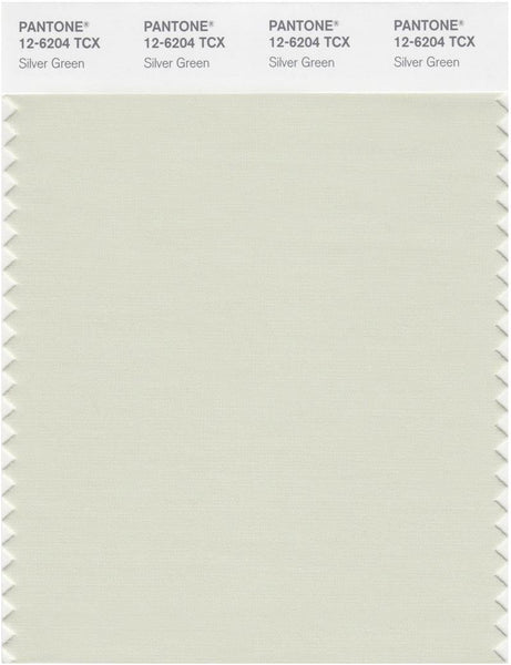 COLOR + 18冊 Pantone Smart 12-6204 TCX Color Swatch Card | Silver Green