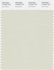 Pantone Smart 12-6204 TCX Color Swatch Card | Silver Green