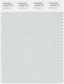 Pantone Smart 12-6205 TCX Color Swatch Card | Milky Green