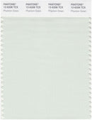 Pantone Smart 12-6208 TCX Color Swatch Card | Phantom Green