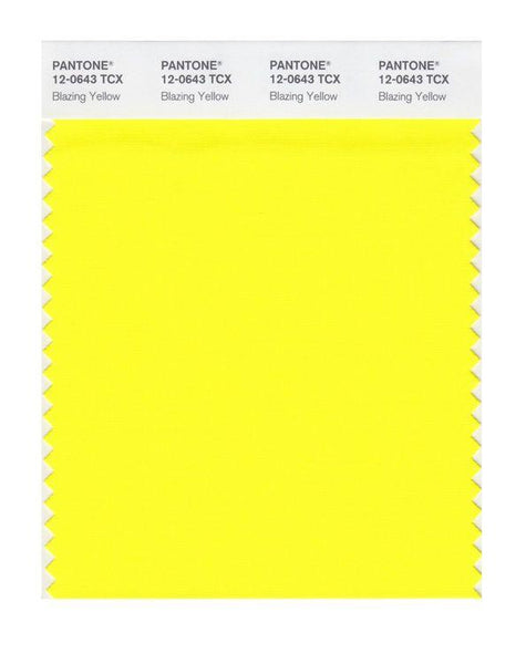 その他 PANTONE for fashion and  COLOR CARD その他 PANTONE for fashion and home COLOR CARD PANTONE® USA