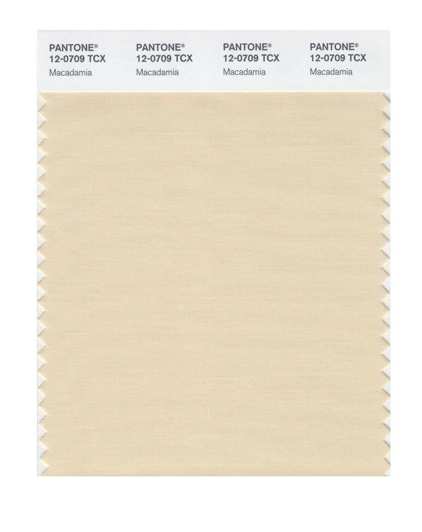 Pantone Smart 12-0709 TCX Color Swatch Card | Macadamia | Magazine