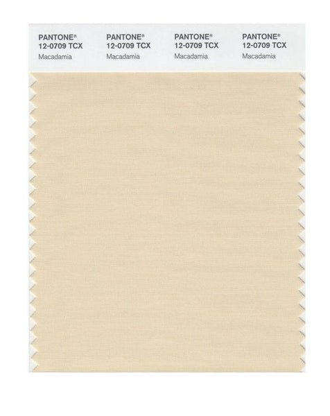 その他 PANTONE for fashion and  COLOR CARD Pantone Smart 12-0709 TCX Color Swatch Card | Macadamia | Magazine