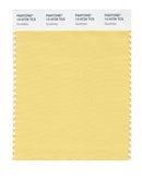 Pantone Smart 12-0729 TCX Color Swatch Card | Sundress