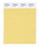 Pantone Smart 12-0729 TCX Color Swatch Card | Sundress