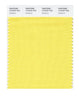 Pantone Smart 12-0737 TCX Color Swatch Card | Goldfinch