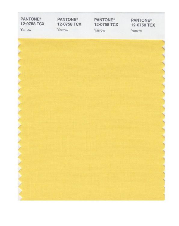 Pantone Smart 12-0758 TCX Color Swatch Card | Yarrow | Magazine