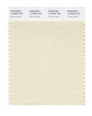 Pantone Smart 12-0804 TCX Color Swatch Card | Cloud Cream