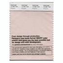 Pantone Smart 12-2901 TCX Color Swatch Card | Morganite