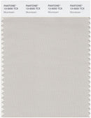 Pantone Smart 13-0000 TCX Color Swatch Card | Moonbeam