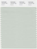 Pantone Smart 13-0107 TCX Color Swatch Card | Dewkist