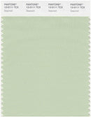 Pantone Smart 13-0111 TCX Color Swatch Card | Seacrest
