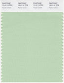 Pantone Smart 13-0116 TCX Color Swatch Card | Pastel Green