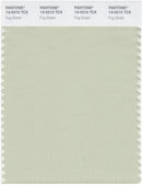 Pantone Smart 13-0210 TCX Color Swatch Card | Fog Green