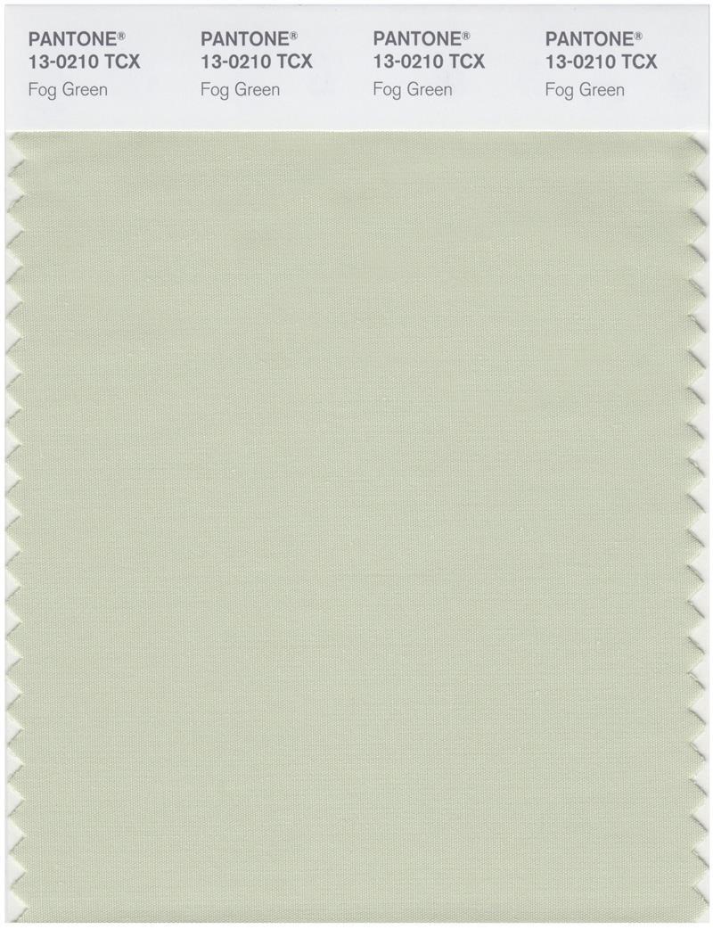 0210 Color Code Pantone Smart 13-0210 TCX Color Swatch Card | Fog Green | Magazine Cafe ...
