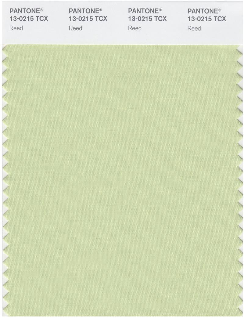 Pantone Smart 13-0215 TCX Color Swatch Card | Reed | Magazine Cafe