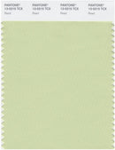 Pantone Smart 13-0215 TCX Color Swatch Card | Reed