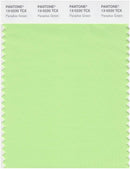 Pantone Smart 13-0220 TCX Color Swatch Card | Paradise Green
