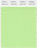 Pantone Smart 13-0220 TCX Color Swatch Card | Paradise Green