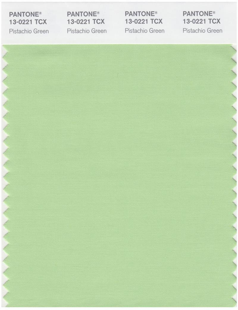 Pantone Smart 13-0221 TCX Color Swatch Card | Pistachio Green