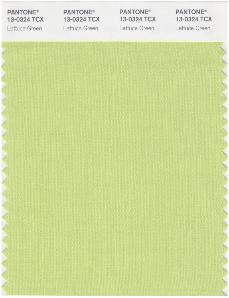 Pantone Smart 13-0324 TCX Color Swatch Card | Lettuce Green